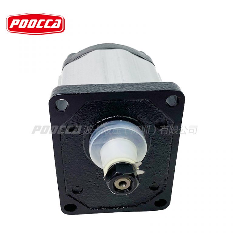 marzocchi GHP gear pump (2)